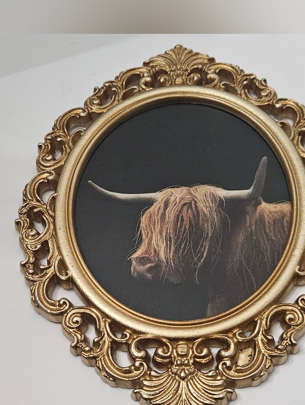 Hobby Lobby Gold Ornate Framed Highland Cow Portrait Wall Decor 15.75x11.5